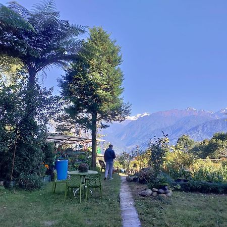 Ifseen Villa ペリング エクステリア 写真