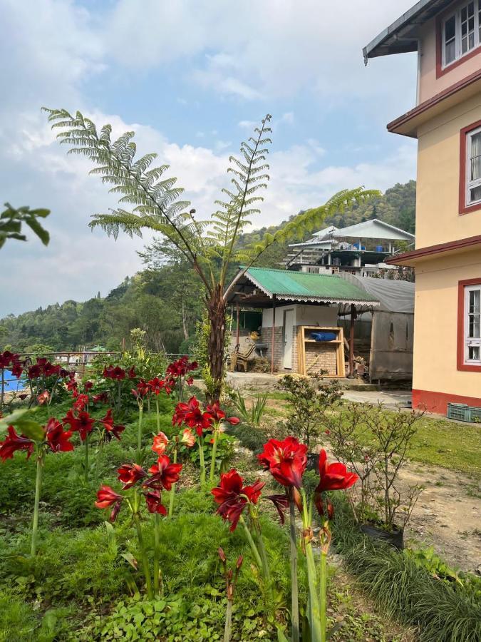 Ifseen Villa ペリング エクステリア 写真