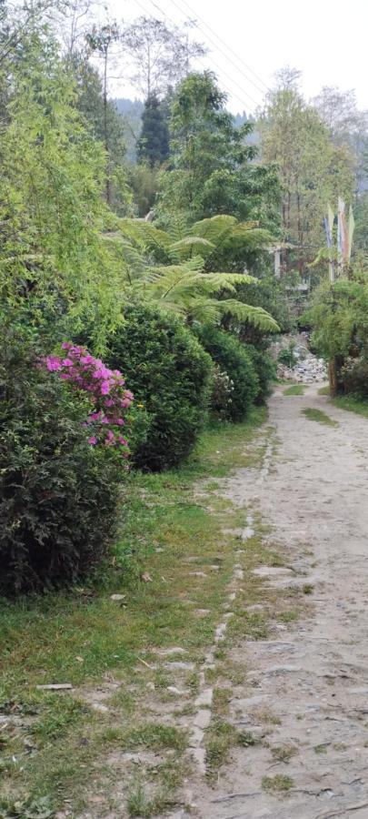 Ifseen Villa ペリング エクステリア 写真