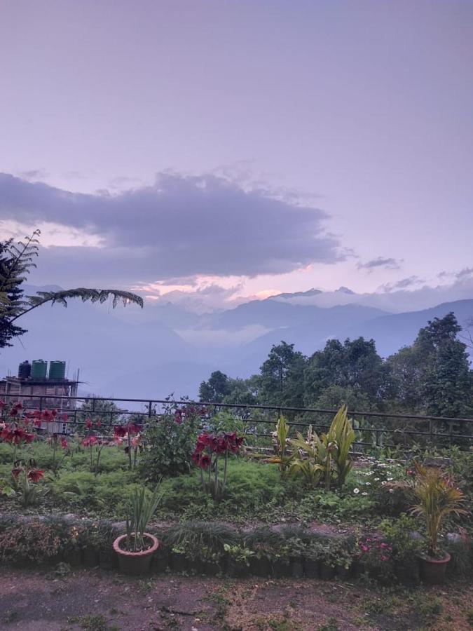 Ifseen Villa ペリング エクステリア 写真